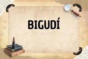 BIGUDÍ