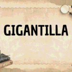 gigantilla