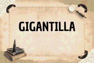 gigantilla