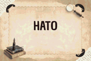 HATO