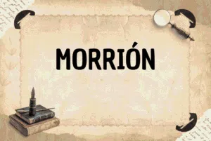 MORRIÓN
