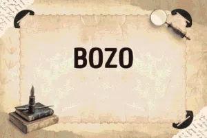 BOZO