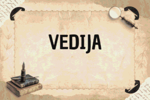 VEDIJA