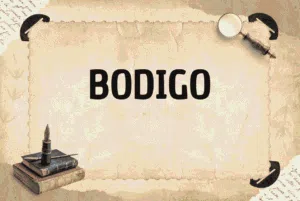 BODIGO