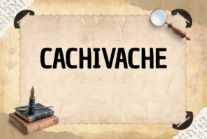 CACHIVACHE