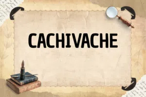 CACHIVACHE